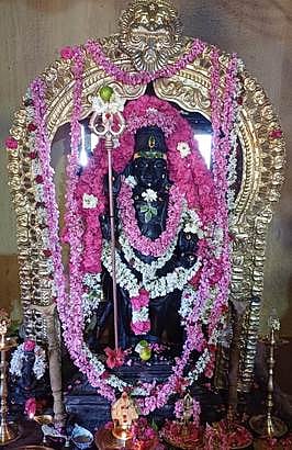 ஸ்ரீமகா காலபைரவா் கோயிலில் சிறப்பு வழிபாடு