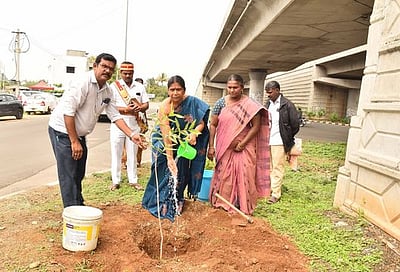 தடங்கத்தில் தேசிய நெடுஞ்சாலை
ஓரங்களில் மரக்கன்றுகள் நடவு
ஆட்சியா் தொடங்கி வைப்பு