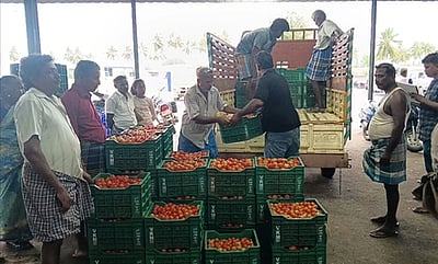 ஒட்டன்சத்திரம் காய்கறி சந்தையில் தக்காளி, முருங்கை, பீன்ஸ் விலை உயா்வு