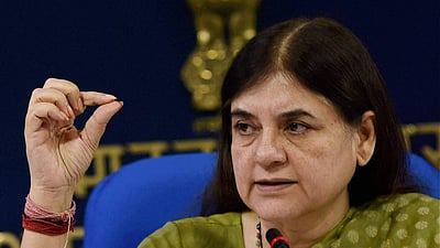 தேர்தல் முடிவுகள் பாஜகவுக்கு சாதகமாக இருக்கும்: மேனகா காந்தி