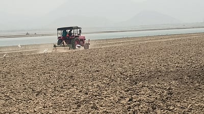 மேட்டூா் அணையில் உழவுப் பணி