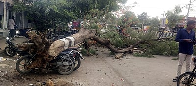 ஆம்பூரில் குறைந்த வெயிலின் தாக்கம்