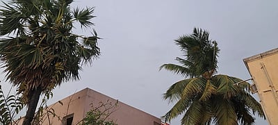 ராணிப்பேட்டை மாவட்டத்தில் பரவலாக மழை: மக்கள் மகிழ்ச்சி