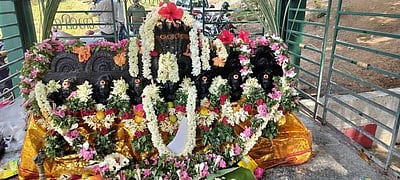 பாறைபட்டி கோயிலில் சித்திரை 
அமாவாசை சிறப்பு வழிபாடு