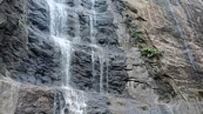 கனமழை எச்சரிக்கை: குற்றாலம் அருவிகளில் குளிக்க 5 நாள்கள் தடை