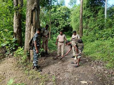 முதுமலையில் யானைகள் கணக்கெடுப்பு தொடங்கியது