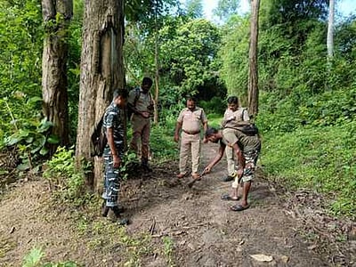 முதுமலையில் யானைகள் கணக்கெடுப்பு தொடங்கியது