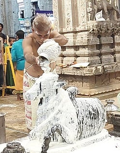 பிரதோஷ நாளில்...