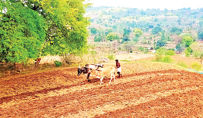 மரபு மாறாமல் தொடரும் பாரம்பரியம்
