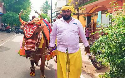 கோயில் தோ்த் திருவிழாவிற்கு 
கோயில் காளையுடன் சென்று வரி வசூல்