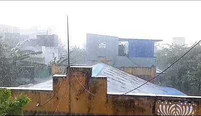 விராலிமலையில் பலத்த மழை