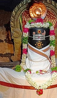பிரதோஷ சிறப்பு பூஜை