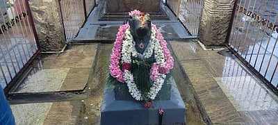 கந்தா்வகோட்டை சிவன் கோயிலில் பிரதோஷ விழா