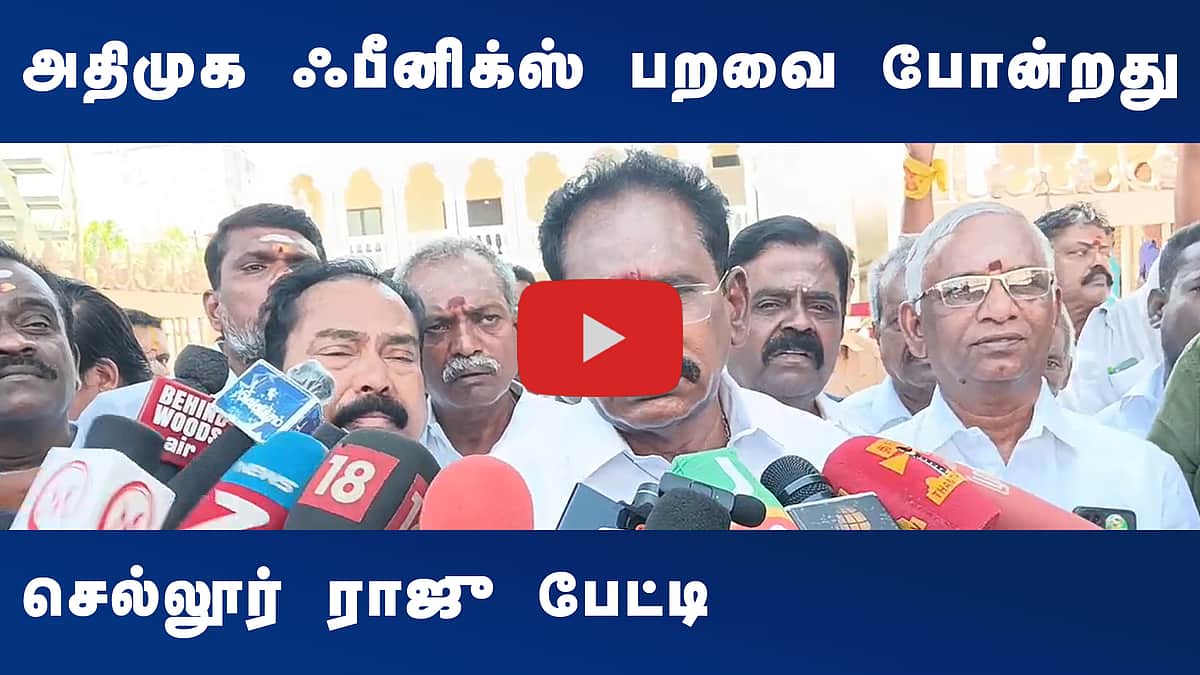 அதிமுக ஃபீனிக்ஸ் பறவை போன்றது: செல்லூர் ராஜு பேட்டி
