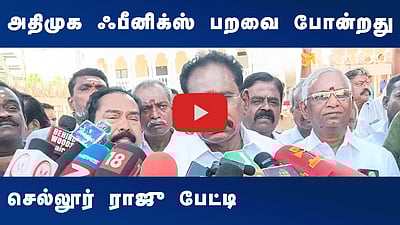 அதிமுக ஃபீனிக்ஸ் பறவை போன்றது: செல்லூர் ராஜு பேட்டி
