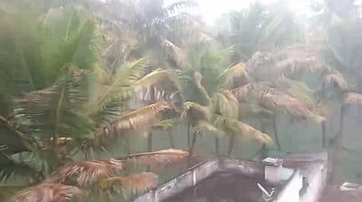 மாதனூரில் சூறாவளி காற்றுடன் ஆலங்கட்டி மழை 