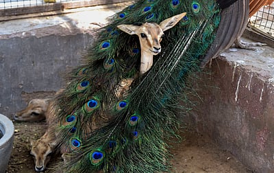 வேறென்ன வேறென்ன வேண்டும்!