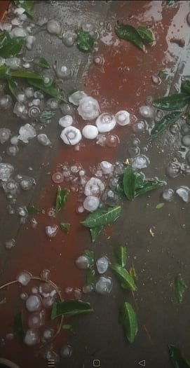 குடியாத்தம், ஆம்பூரில் சூறாவளிக் காற்றுடன் ஆலங்கட்டி மழை