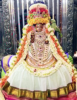 பத்ரகாளியம்மன் கோயில் வசந்த உற்சவம்