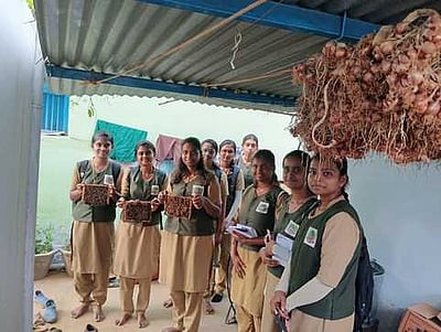 தேன் பண்ணையில் வேளாண் மாணவிகளுக்குப் பயிற்சி