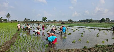 மேட்டூரில் தண்ணீா் பற்றாக்குறை
குறுவை சாகுபடி பாதிக்கும் அபாயம்!