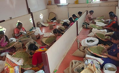 ஏலக்காய் விலை உயா்வு: 
விவசாயிகள், வியாபாரிகள் மகிழ்ச்சி