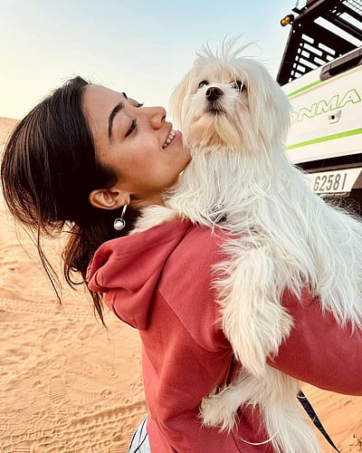 செல்லங்களுடன்... ராஷ்மிகா மந்தனா வெளியிட்ட படங்கள்...