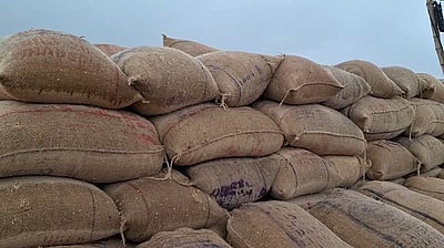 5000 நெல் மூட்டைகள் மழையில் நனைந்து சேதம்!