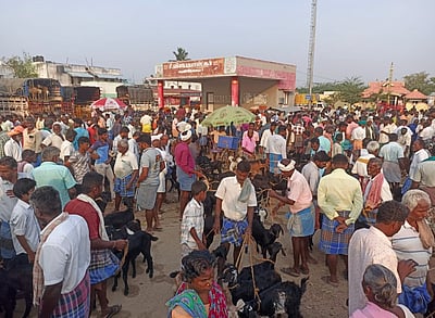 விராலிமலையில் ஒன்றரை கோடியை தாண்டிய ஆடு வர்த்தகம்: விவசாயிகள் மகிழ்ச்சி 