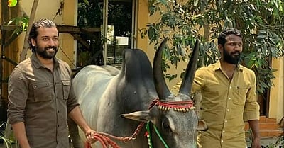 வாடிவாசல் அப்டேட்!