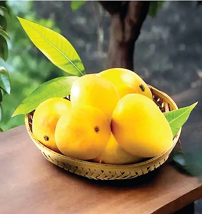 மாம்பழத்தின் மருத்துவப் பயன்கள்...