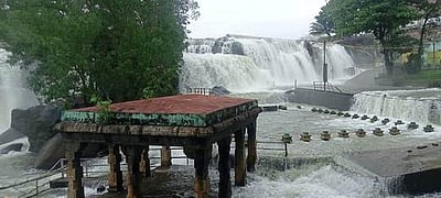 மழை நீடிப்பு: பேச்சிப்பாறை அணையிலிருந்து  2 ஆவது நாளாக உபரிநீா் வெளியேற்றம் திற்பரப்பு அருவியில் குளிக்கத் தடை நீடிப்பு