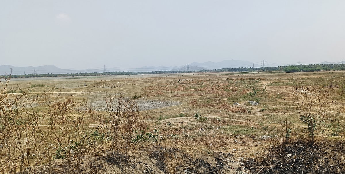 மோா்தானா அணை திறந்தும் நெல்லூா்பேட்டை ஏரிக்கு வராத நீா்