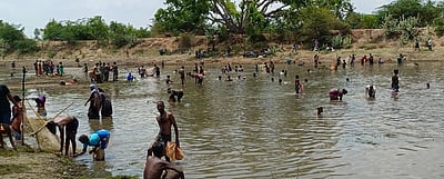 எலுமிச்சை கிலோ ரூ.160-க்கு விற்பனை