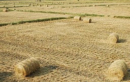 வைக்கோல் கட்டும் இயந்திரம் திருட்டு