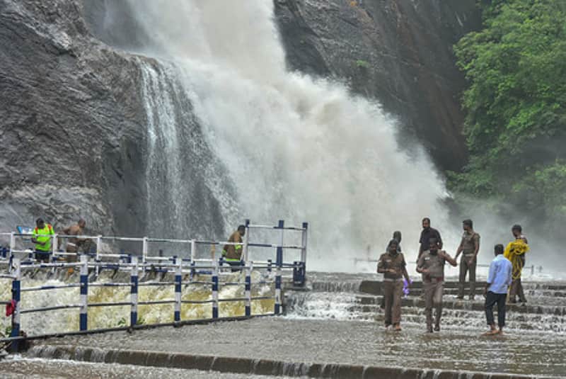 Heavy rain in Tenkasi: Bathing prohibited at courtallam Main Falls
