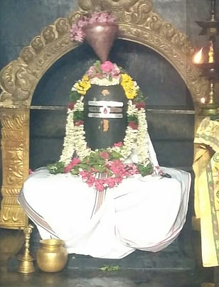 வெள்ளக்கோவில் சிவாலயங்களில் தாராபிஷேகம்