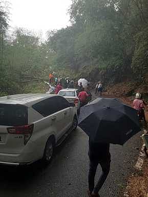 கொடைக்கானலில் மழை: மரங்கள் விழுந்து போக்குவரத்து பாதிப்பு