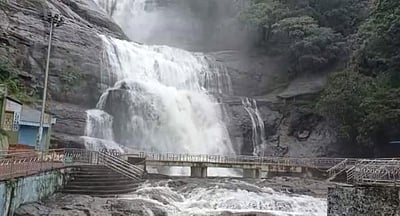 குற்றால அருவிகளில் குளிக்க 7 ஆவது நாளாக தடை நீடிப்பு