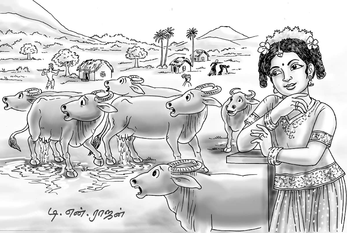 அம்மானை!