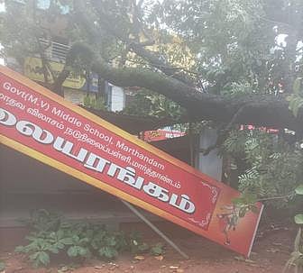 மாா்த்தாண்டத்தில் மரம் விழுந்து 
பள்ளிக் கலையரங்கு சேதம்