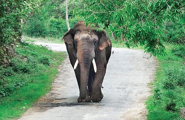 வழித்தடமும் வாழ்வாதாரமும்