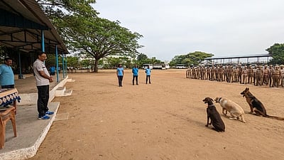 மோப்ப நாய் உதவியுடன்
குற்றவாளிகளை கண்டறிய ஒத்திகை