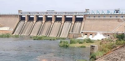 வைகை அணையில் ஆய்வு  