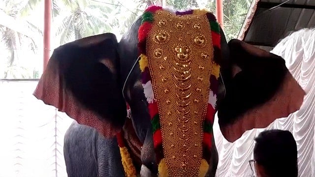 இயந்திர யானை