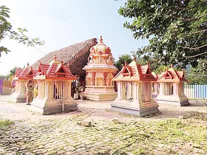 நாகங்களை அங்கங்களாக்கிய நாக சொரூபினி