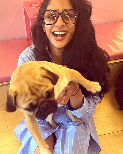 'பக்ஸ்’ ஆனந்தம்!