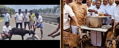 அண்ணாமலை படத்துடன் வெட்டப்பட்ட ஆடு: விடியோவுக்கு தமிழக பாஜக கண்டனம்