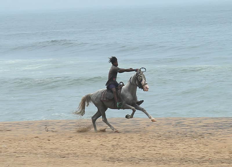 horse ride