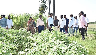 கள்ளச்சாராயம், போதைப்பொருள் விற்பனையைத் தடுக்க கண்காணிப்புக் குழுக்கள்!